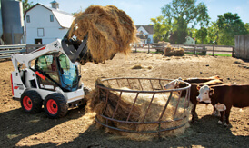 Root grapple